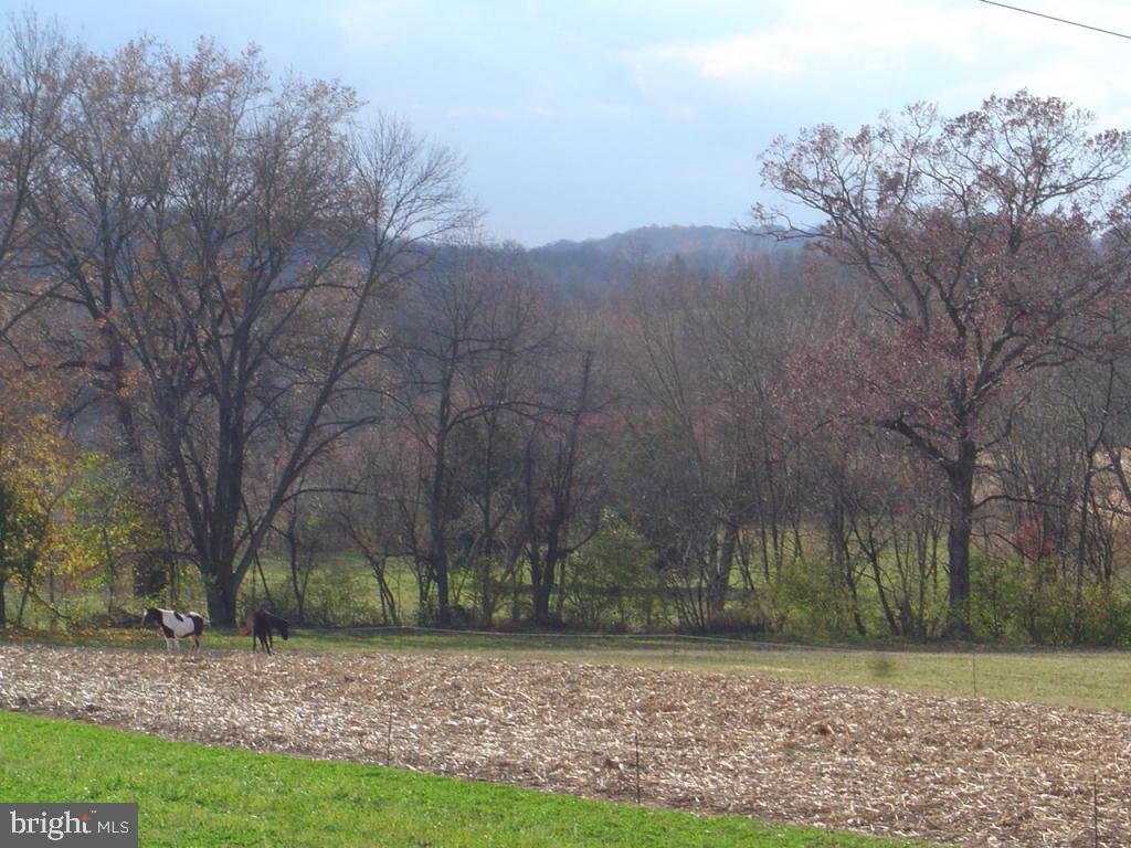 325 South Ridge Road Reinholds, PA 17569 - Photo 4 of 25