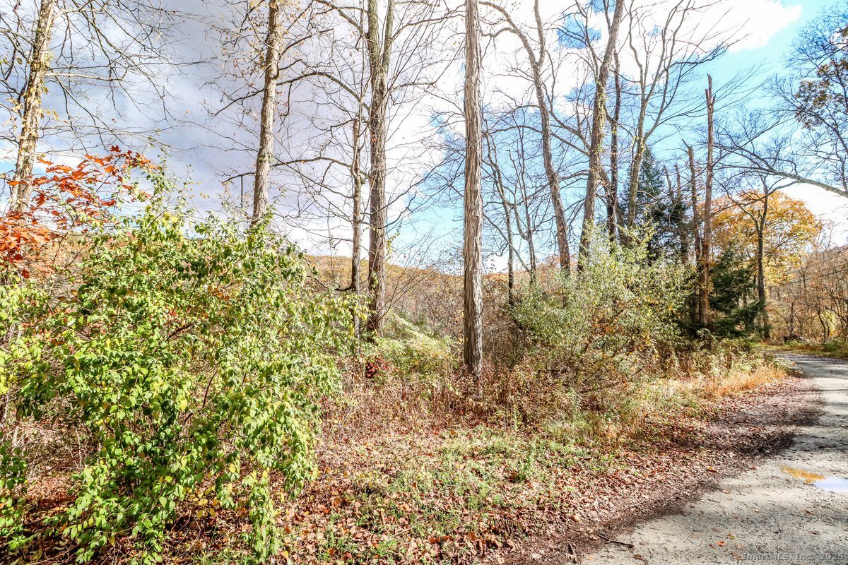 0 Saw Mill Road New Milford, CT 06776 - Photo 3 of 6 a backyard of a house with lots of green space