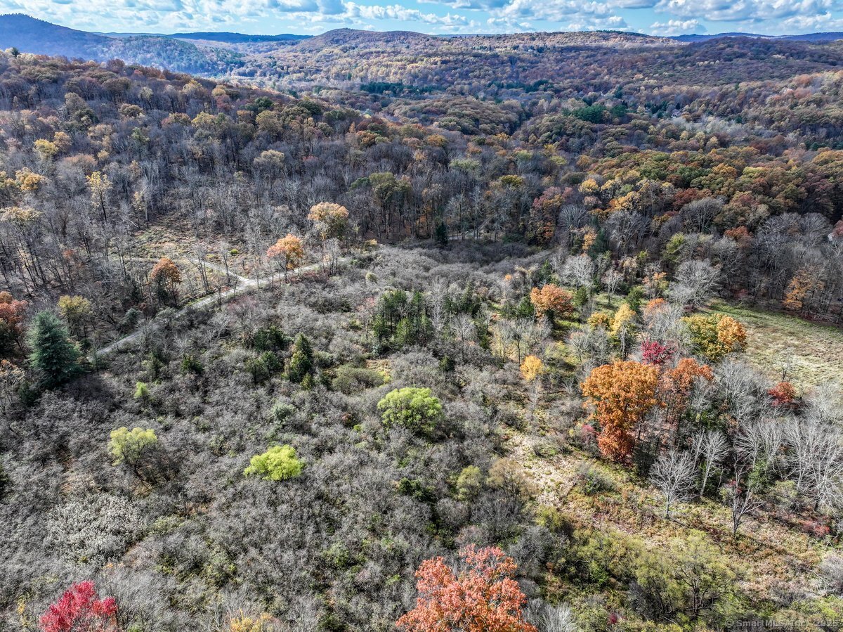0 Saw Mill Road New Milford, CT 06776 - Photo 4 of 6 a view of a dry yard with lots of bushes