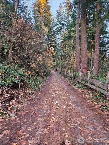 a view of backyard with green space
