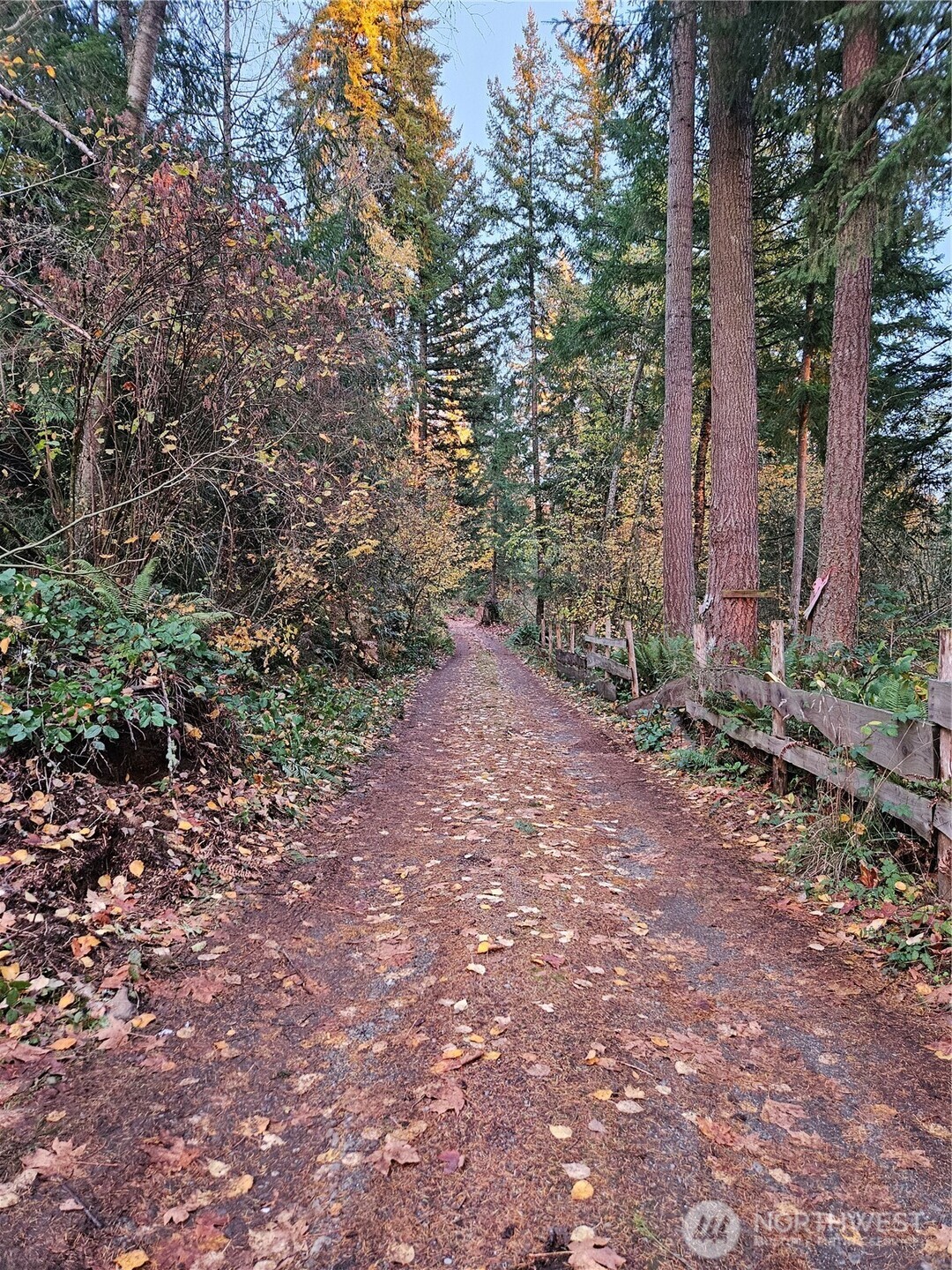 7308 Valley View Road Sedro-Woolley, WA 98284 - Photo 4 of 38 a view of backyard with green space