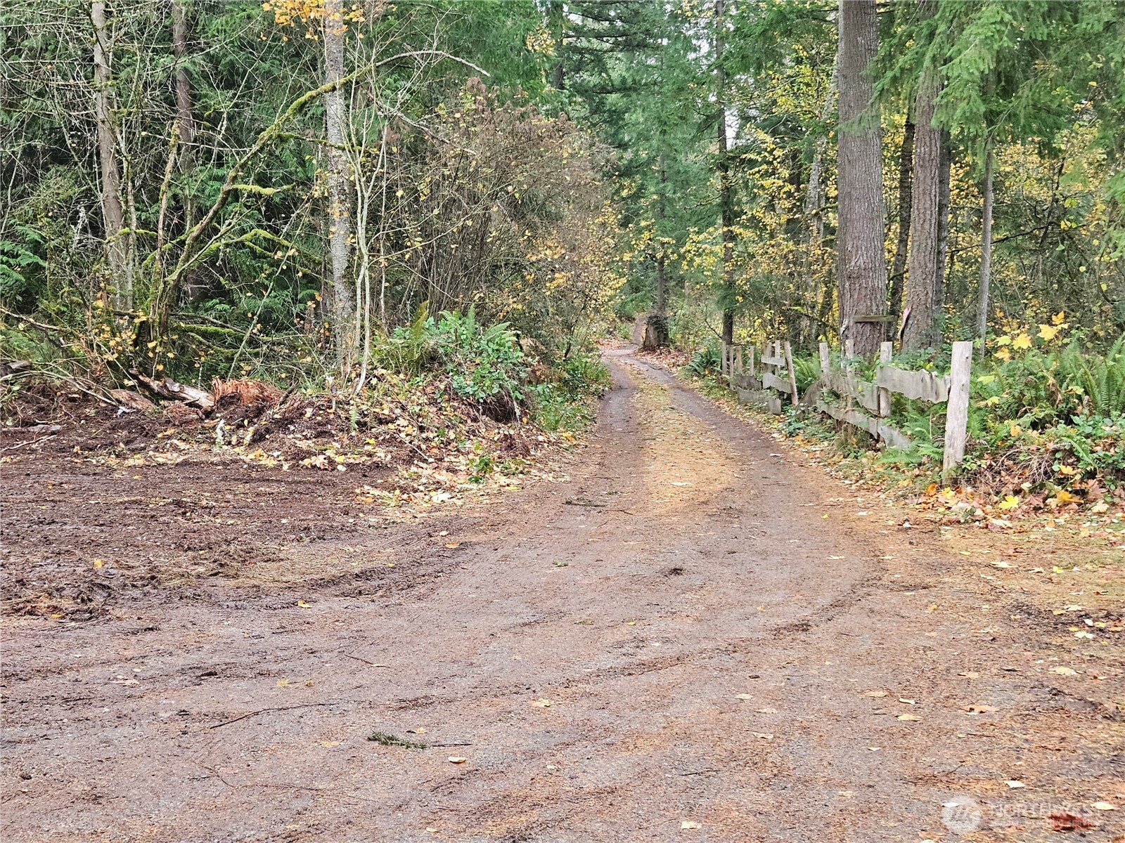 7308 Valley View Road Sedro-Woolley, WA 98284 - Photo 6 of 38 a view of a dirt road with trees