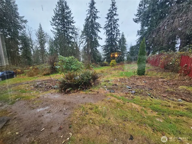 a view of a yard with a tree