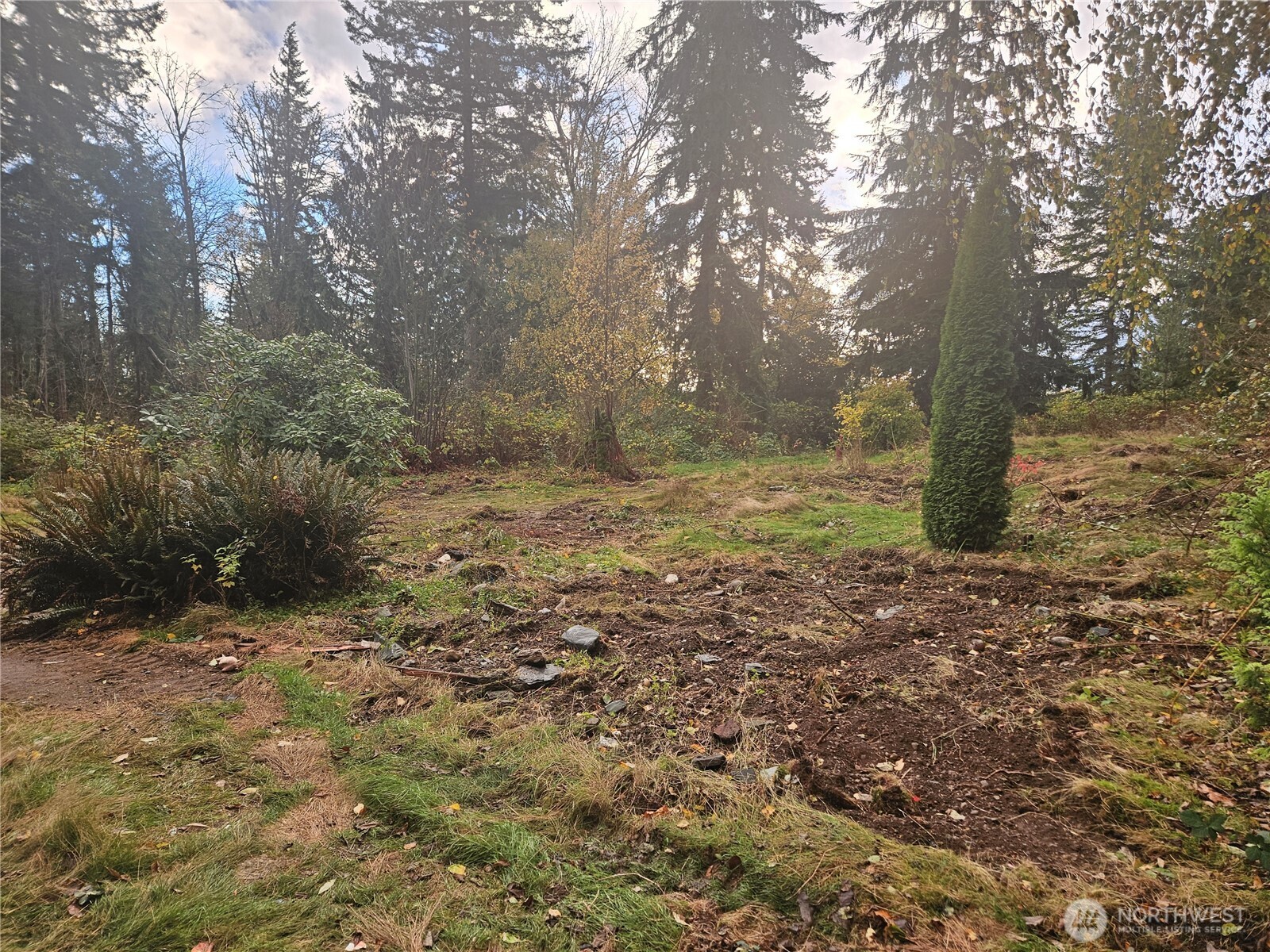 7308 Valley View Road Sedro-Woolley, WA 98284 - Photo 8 of 38 a view of a yard with trees