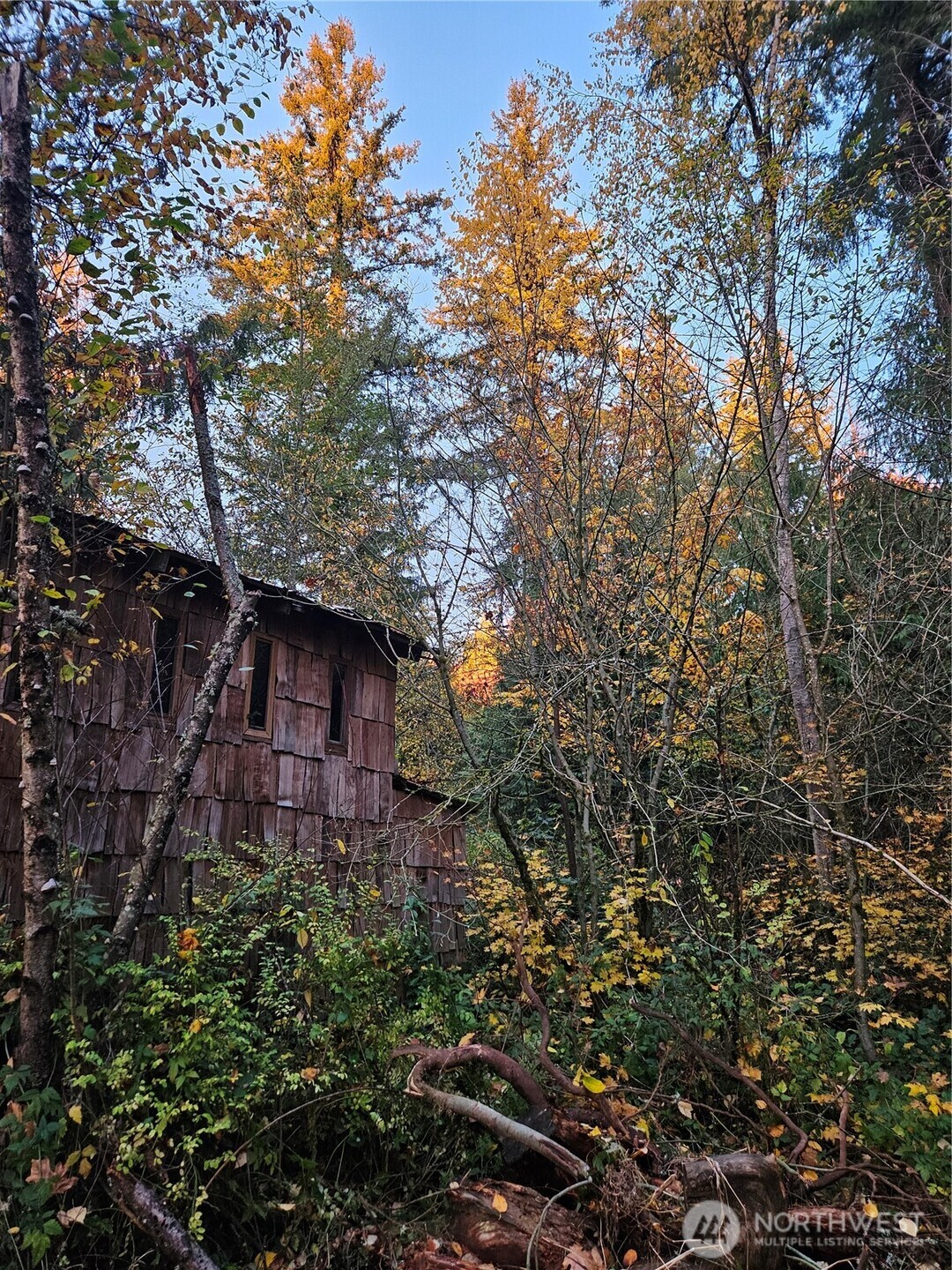 7308 Valley View Road Sedro-Woolley, WA 98284 - Photo 10 of 38 a brick building with large trees