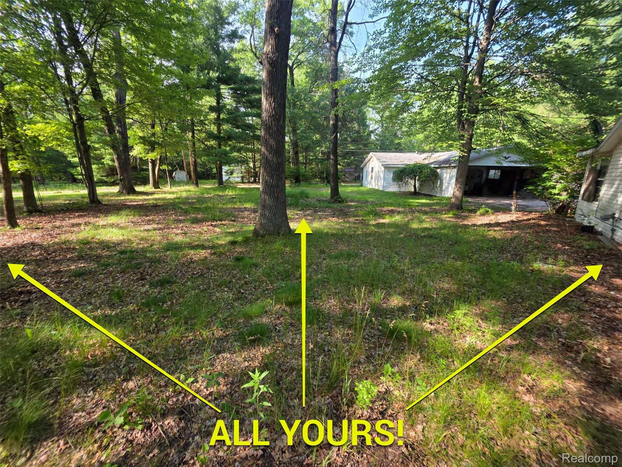 5420 Randy Drive Prescott, MI 48756 - Photo 3 of 31 Expansive wooded lot featuring mature trees and established ground cover