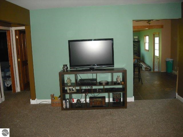 492 South Bagley Road Ithaca, MI 48847 - Photo 4 of 23 1790927-3.JPG