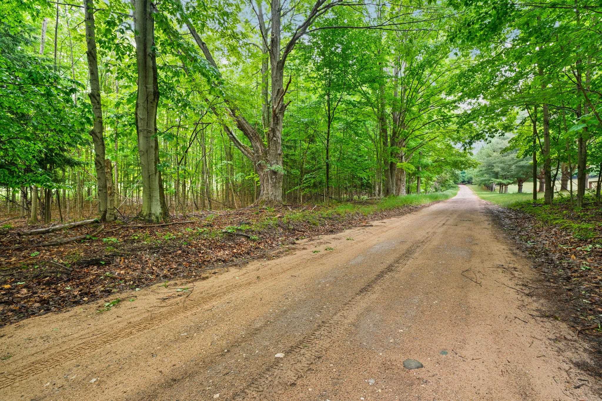 0 Erdman Road Arcadia, MI 49613 - Photo 6 of 9