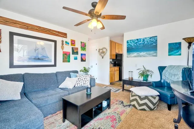 a living room with furniture and a potted plant