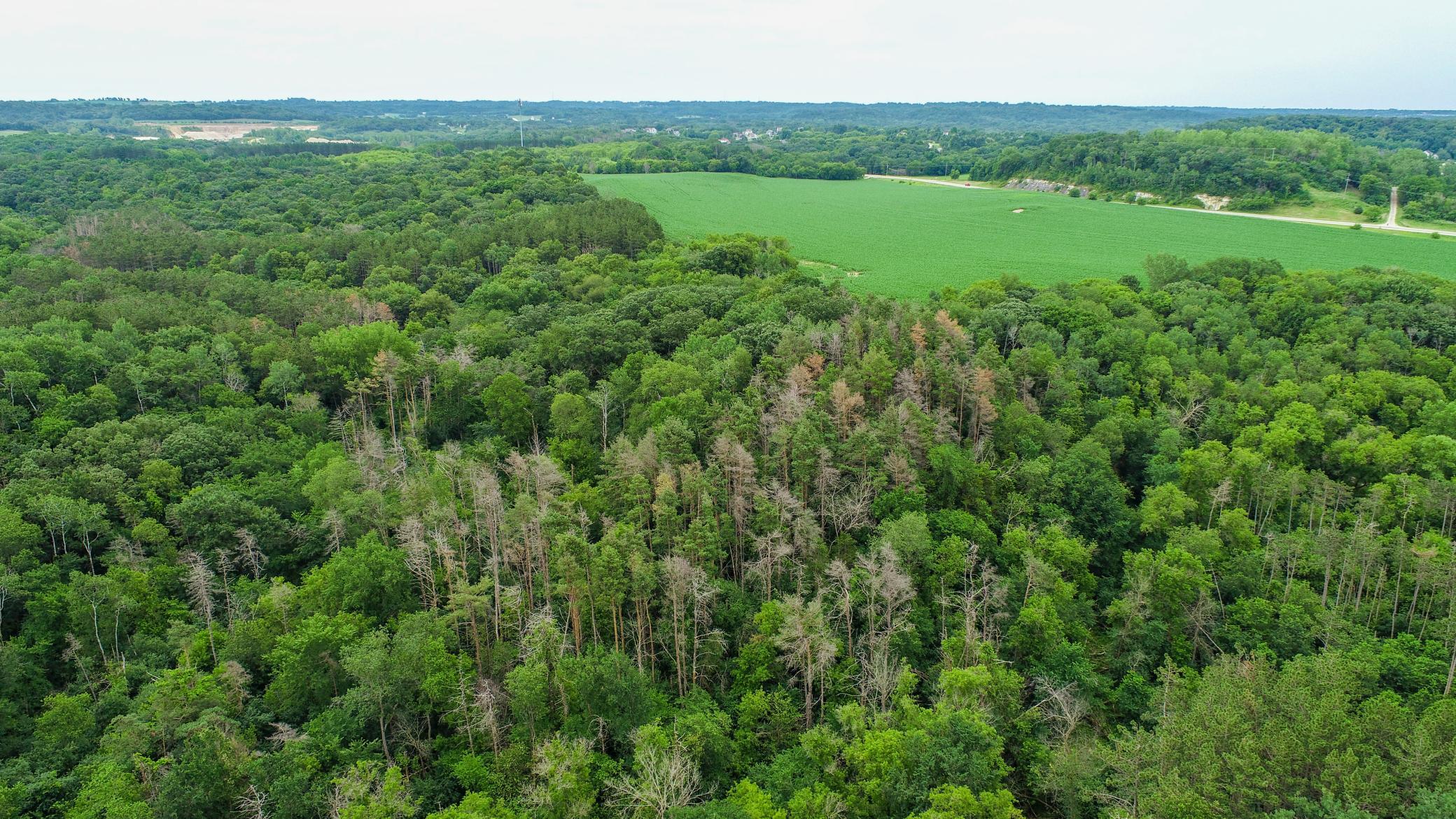 Tbd 75th Street Northwest Rochester, MN 55901 - Photo 13 of 42