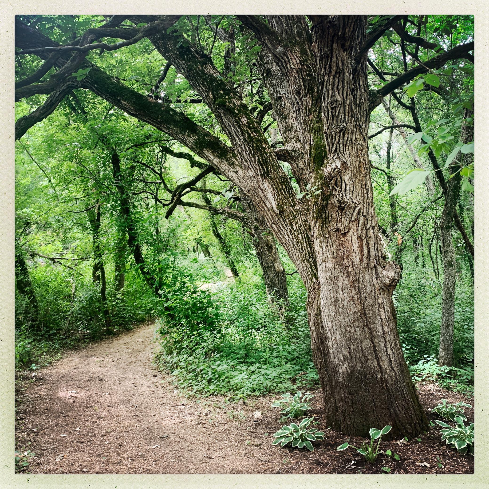 Tbd 75th Street Northwest Rochester, MN 55901 - Photo 14 of 42