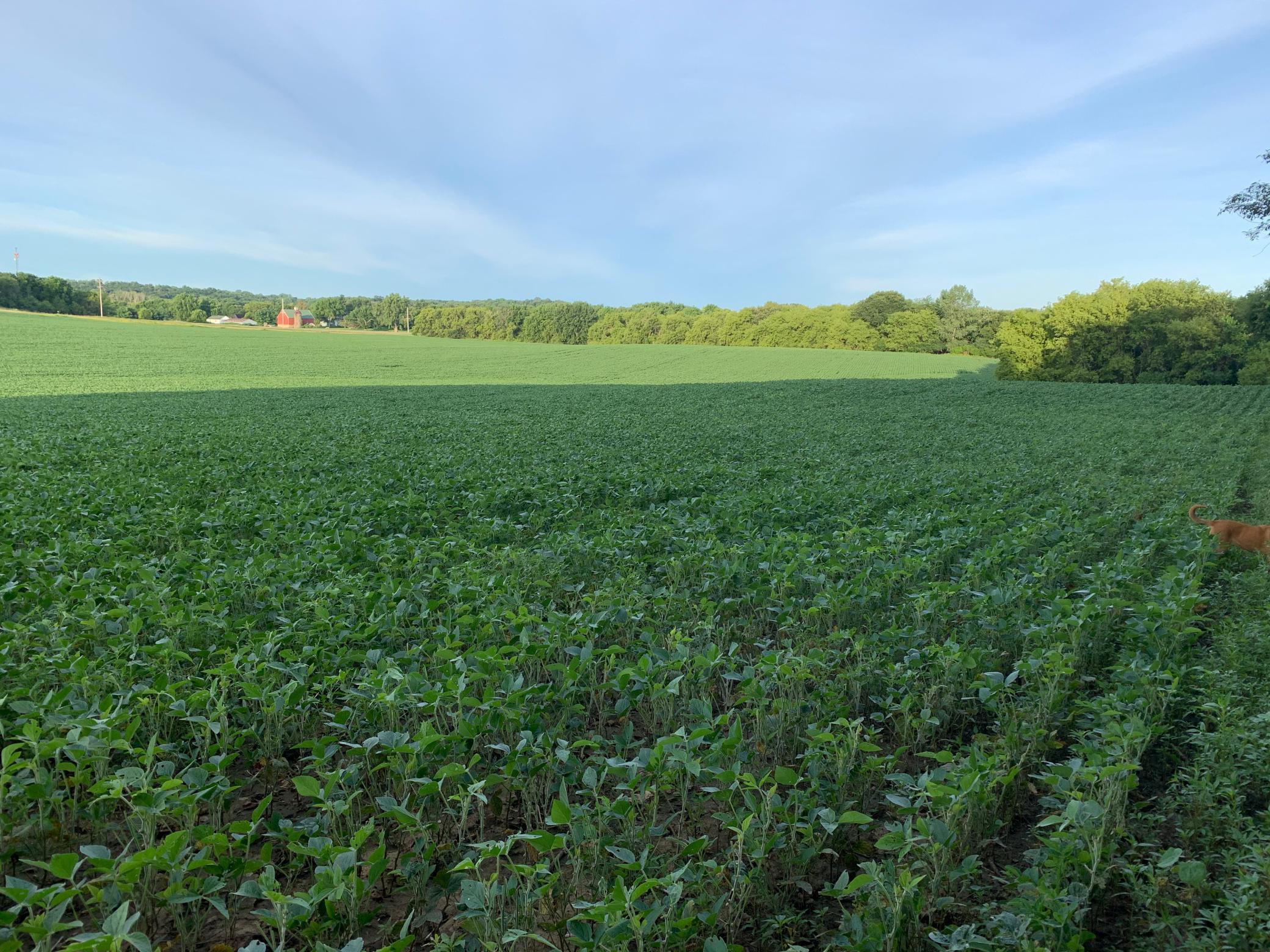 Tbd 75th Street Northwest Rochester, MN 55901 - Photo 15 of 42