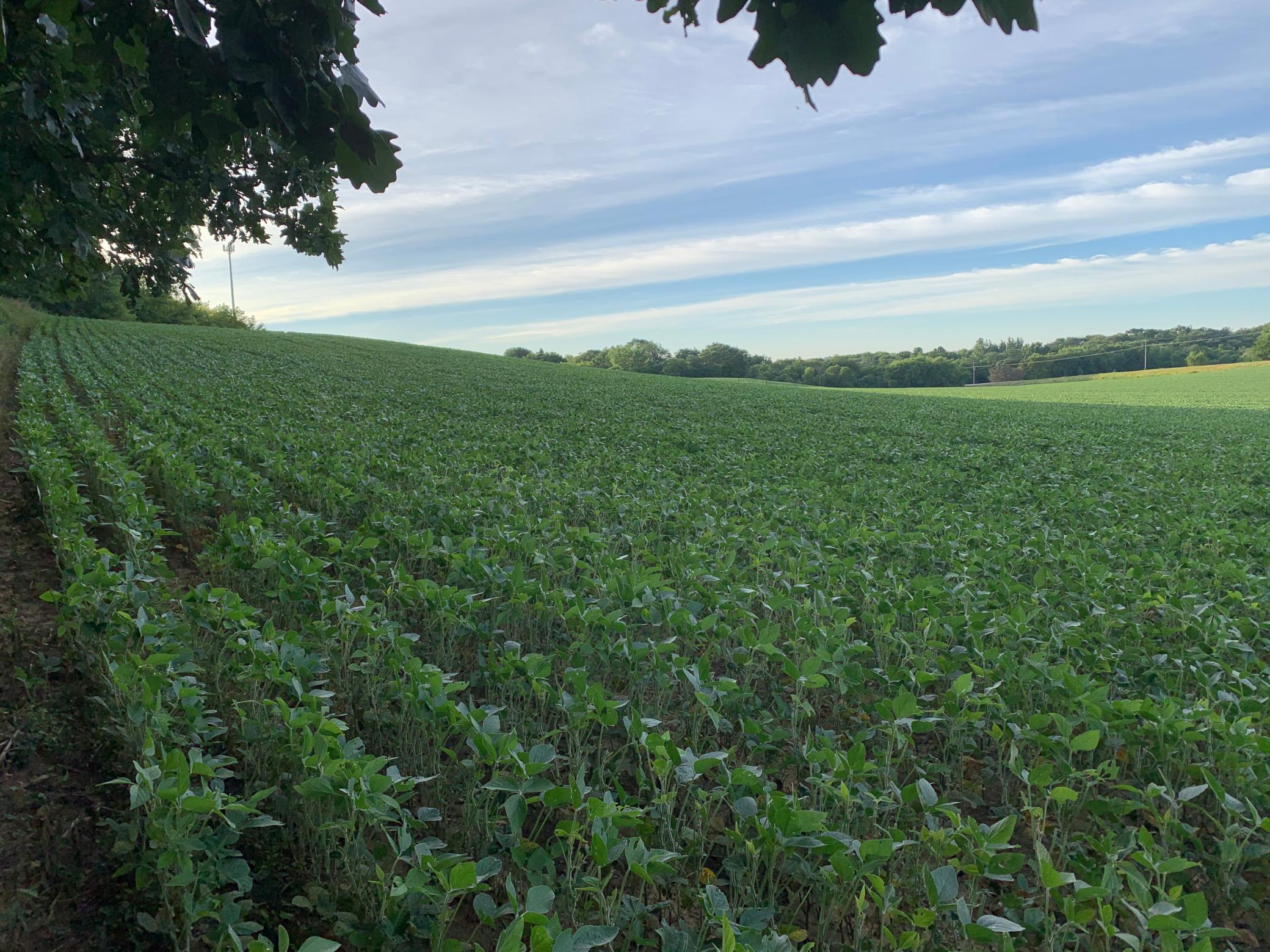 Tbd 75th Street Northwest Rochester, MN 55901 - Photo 16 of 42