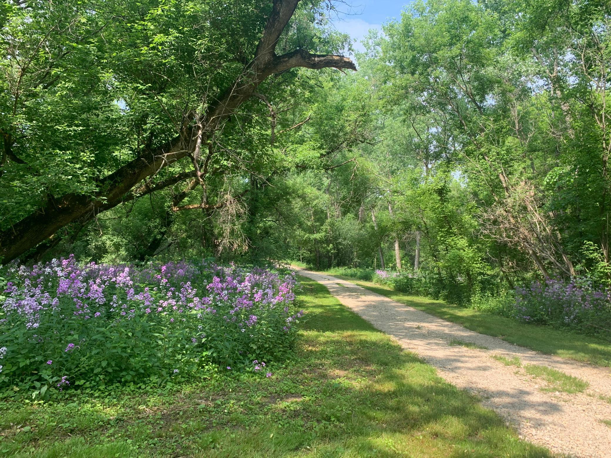 Tbd 75th Street Northwest Rochester, MN 55901 - Photo 17 of 42