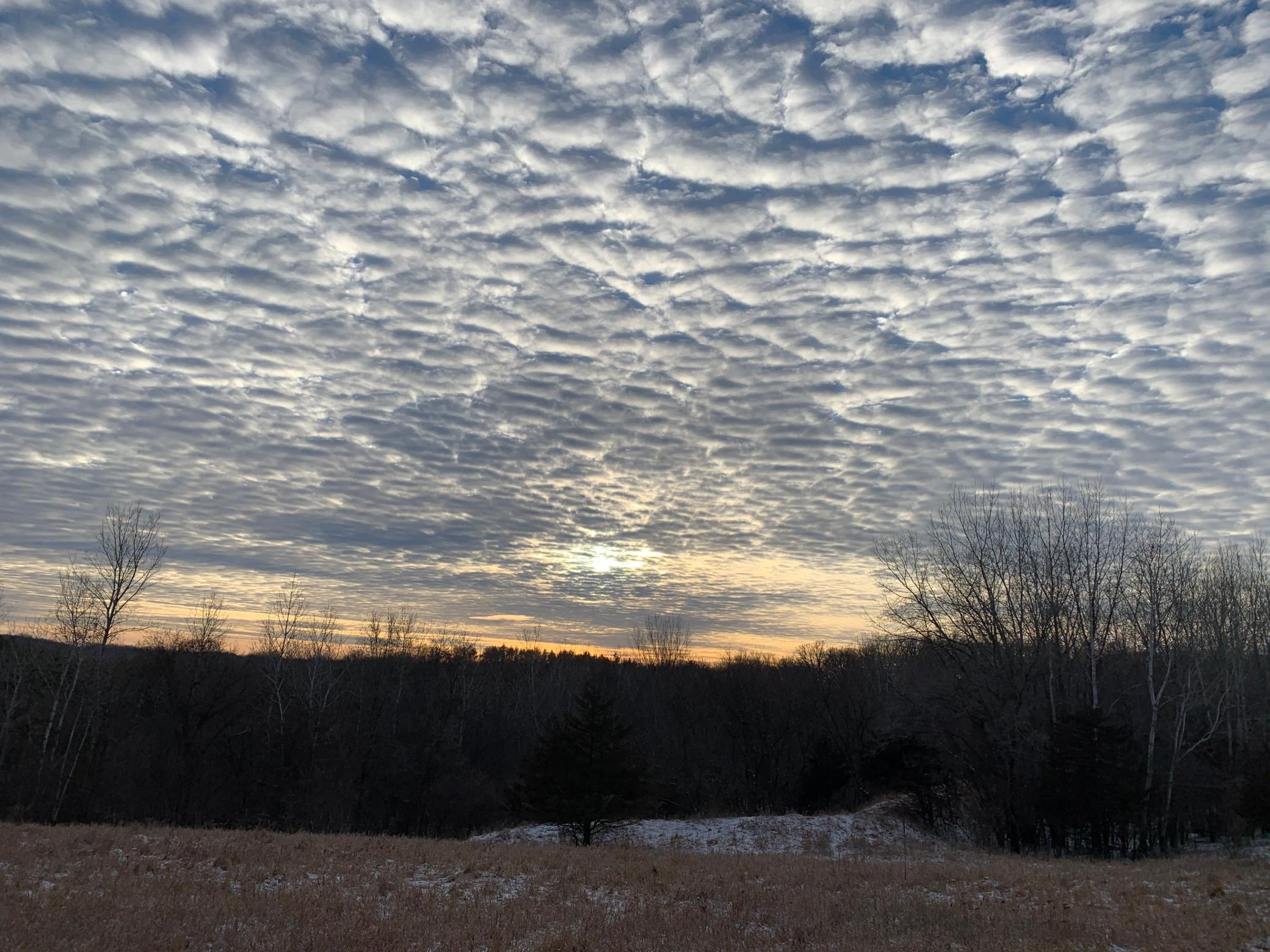 Tbd 75th Street Northwest Rochester, MN 55901 - Photo 21 of 42