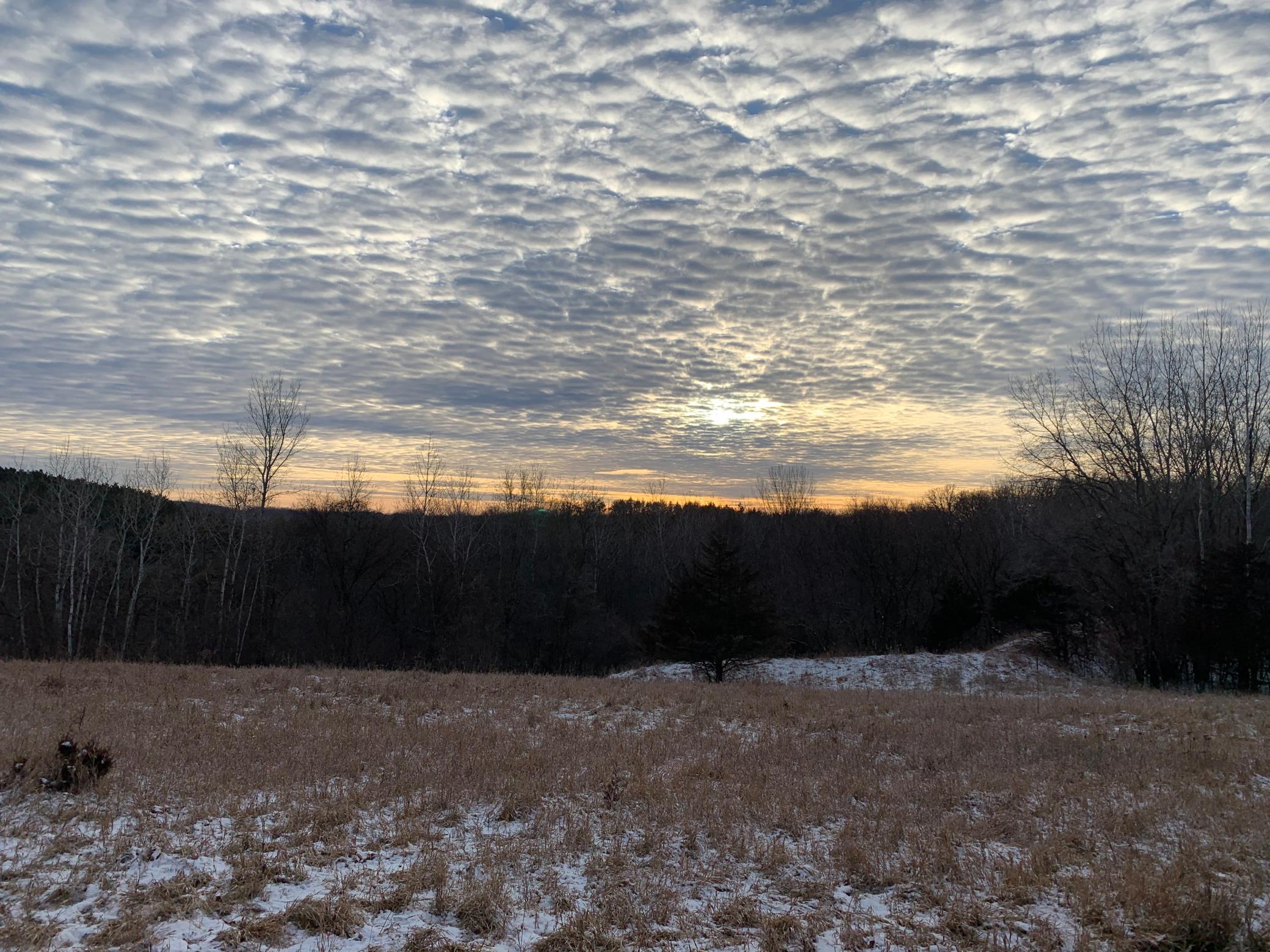 Tbd 75th Street Northwest Rochester, MN 55901 - Photo 22 of 42