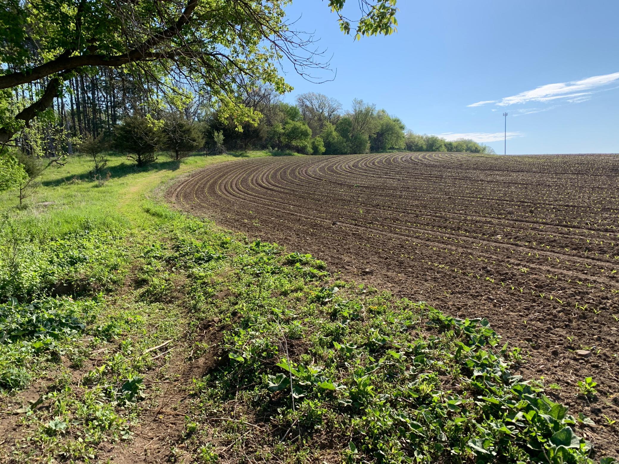 Tbd 75th Street Northwest Rochester, MN 55901 - Photo 24 of 42