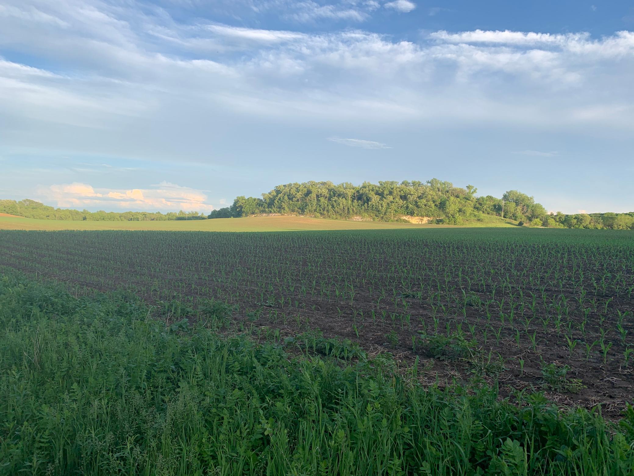 Tbd 75th Street Northwest Rochester, MN 55901 - Photo 25 of 42