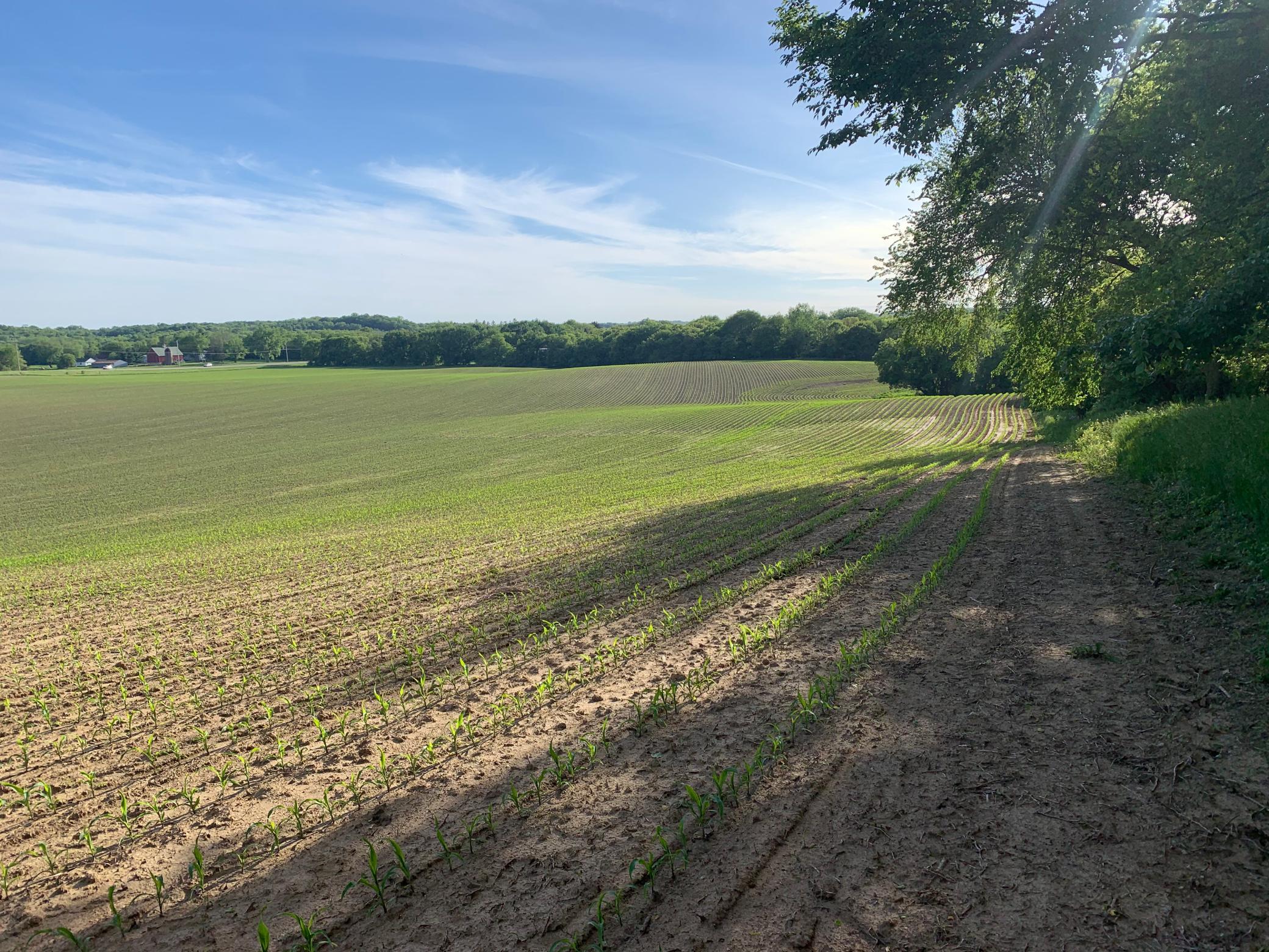 Tbd 75th Street Northwest Rochester, MN 55901 - Photo 26 of 42