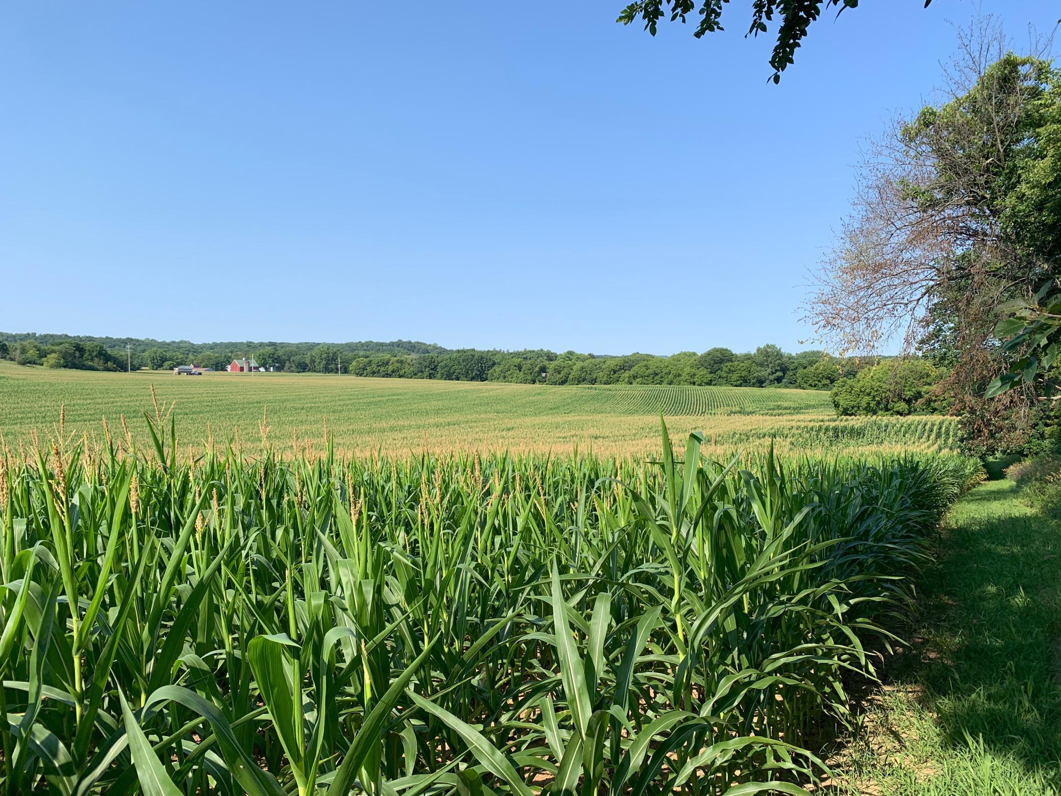 Tbd 75th Street Northwest Rochester, MN 55901 - Photo 28 of 42