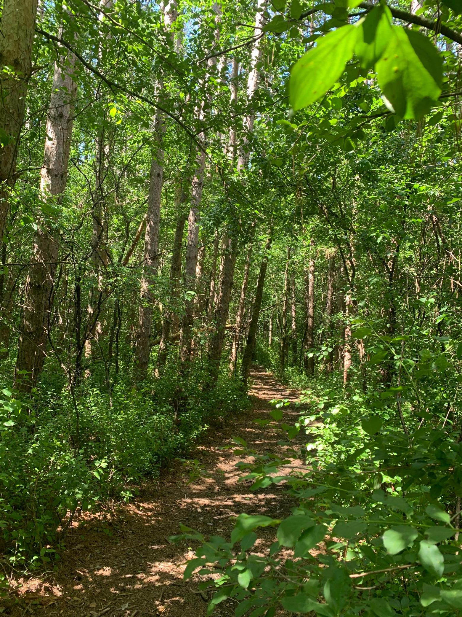 Tbd 75th Street Northwest Rochester, MN 55901 - Photo 29 of 42
