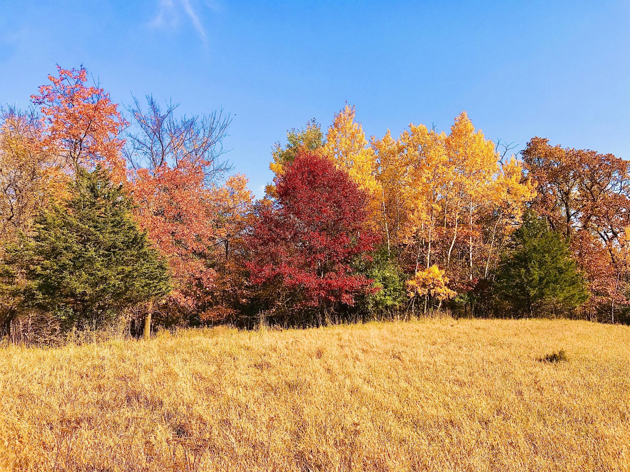 Tbd 75th Street Northwest Rochester, MN 55901 - Photo 33 of 42