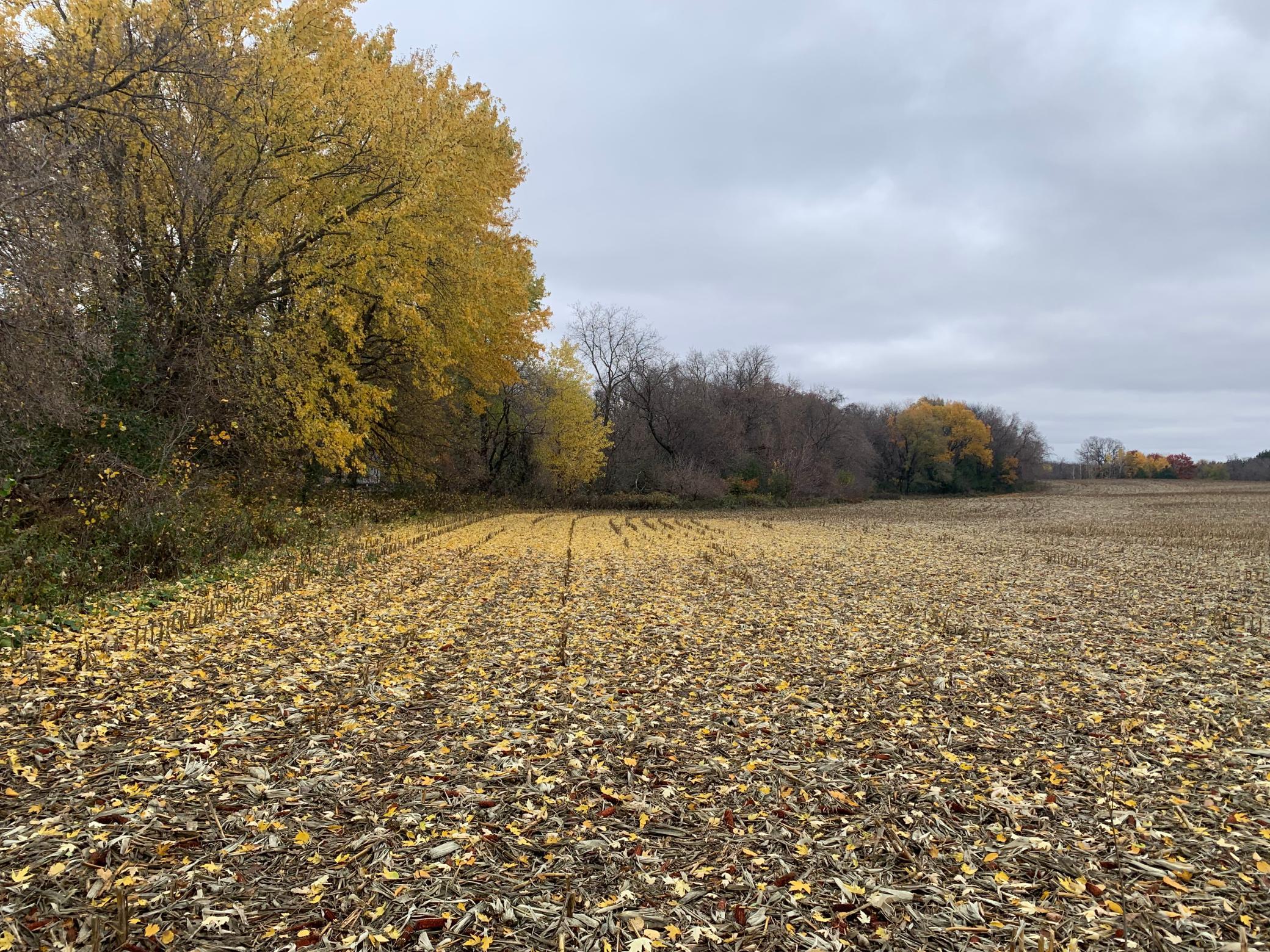 Tbd 75th Street Northwest Rochester, MN 55901 - Photo 34 of 42