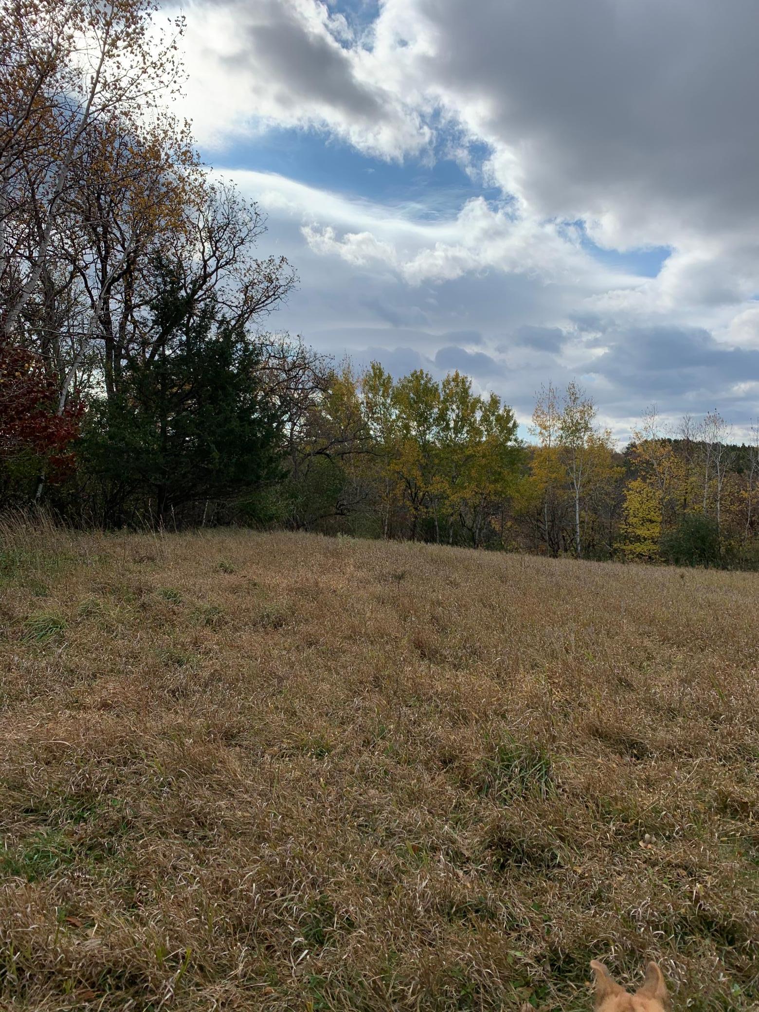 Tbd 75th Street Northwest Rochester, MN 55901 - Photo 36 of 42