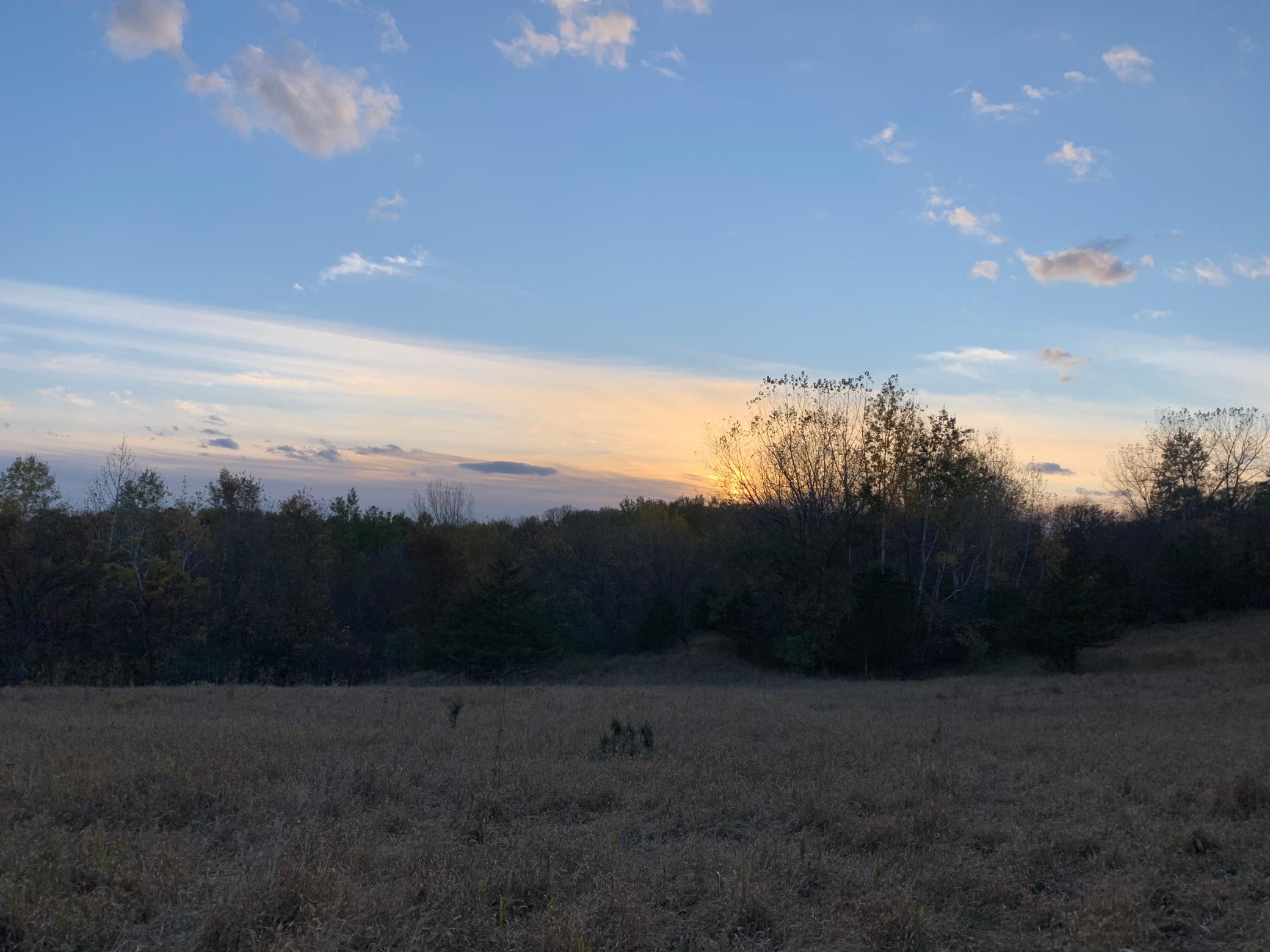 Tbd 75th Street Northwest Rochester, MN 55901 - Photo 37 of 42