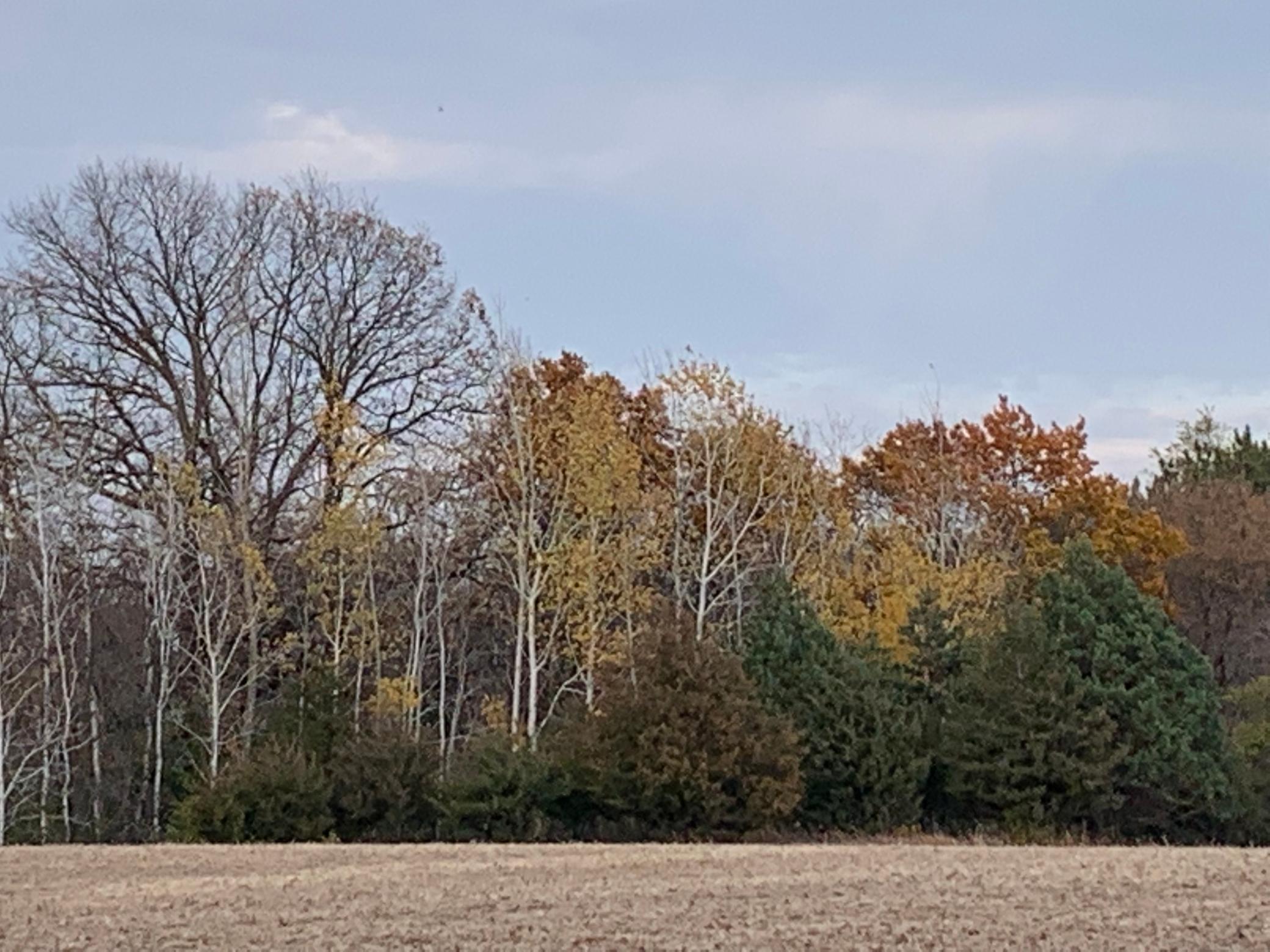 Tbd 75th Street Northwest Rochester, MN 55901 - Photo 39 of 42