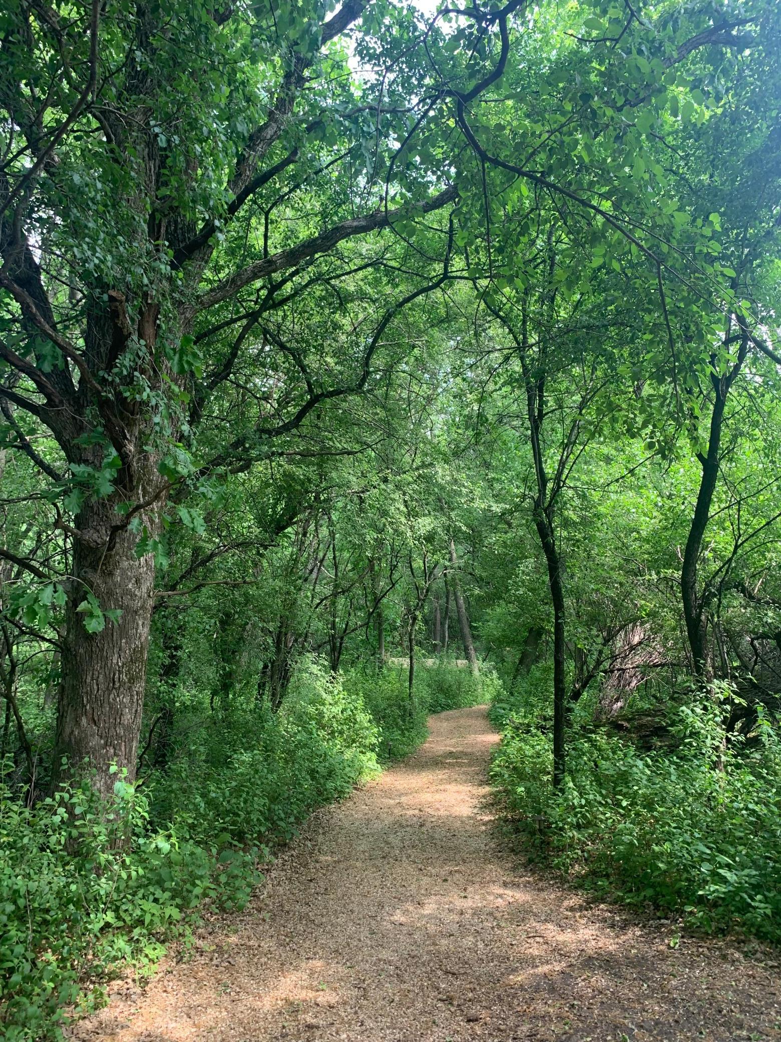Tbd 75th Street Northwest Rochester, MN 55901 - Photo 7 of 42