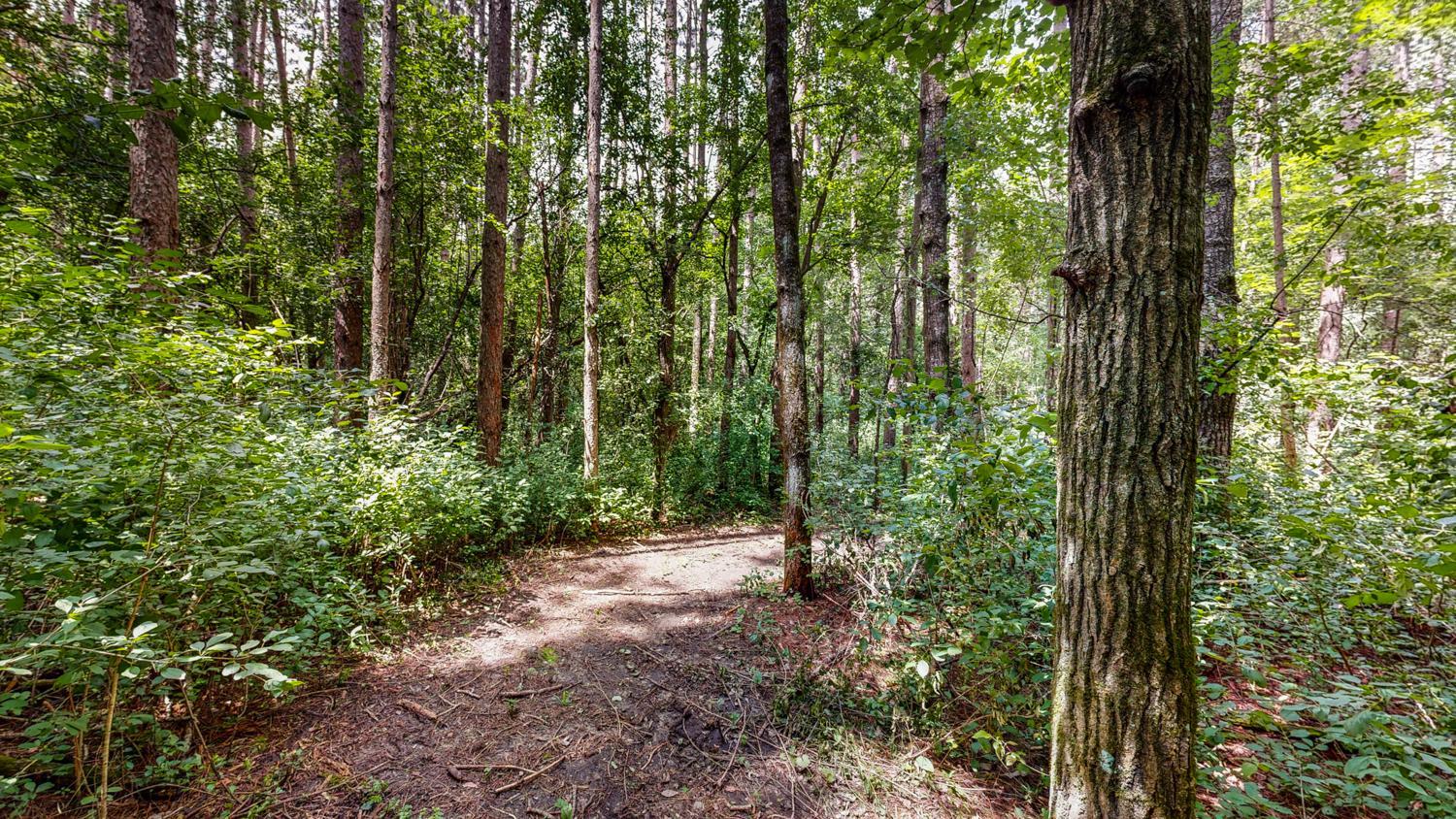 Tbd 75th Street Northwest Rochester, MN 55901 - Photo 8 of 42