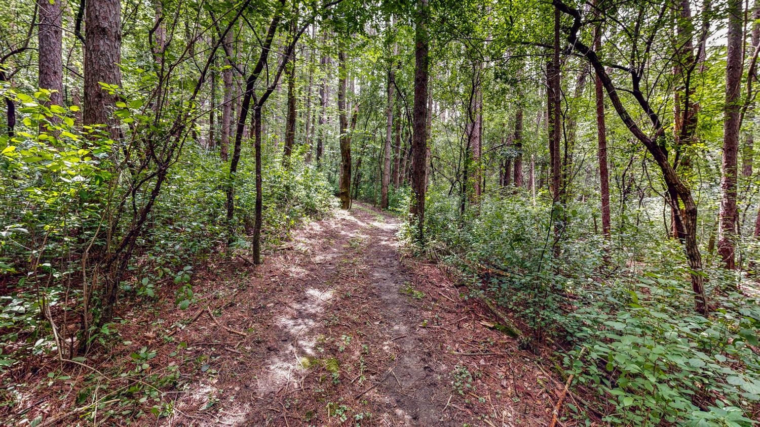Tbd 75th Street Northwest Rochester, MN 55901 - Photo 9 of 42
