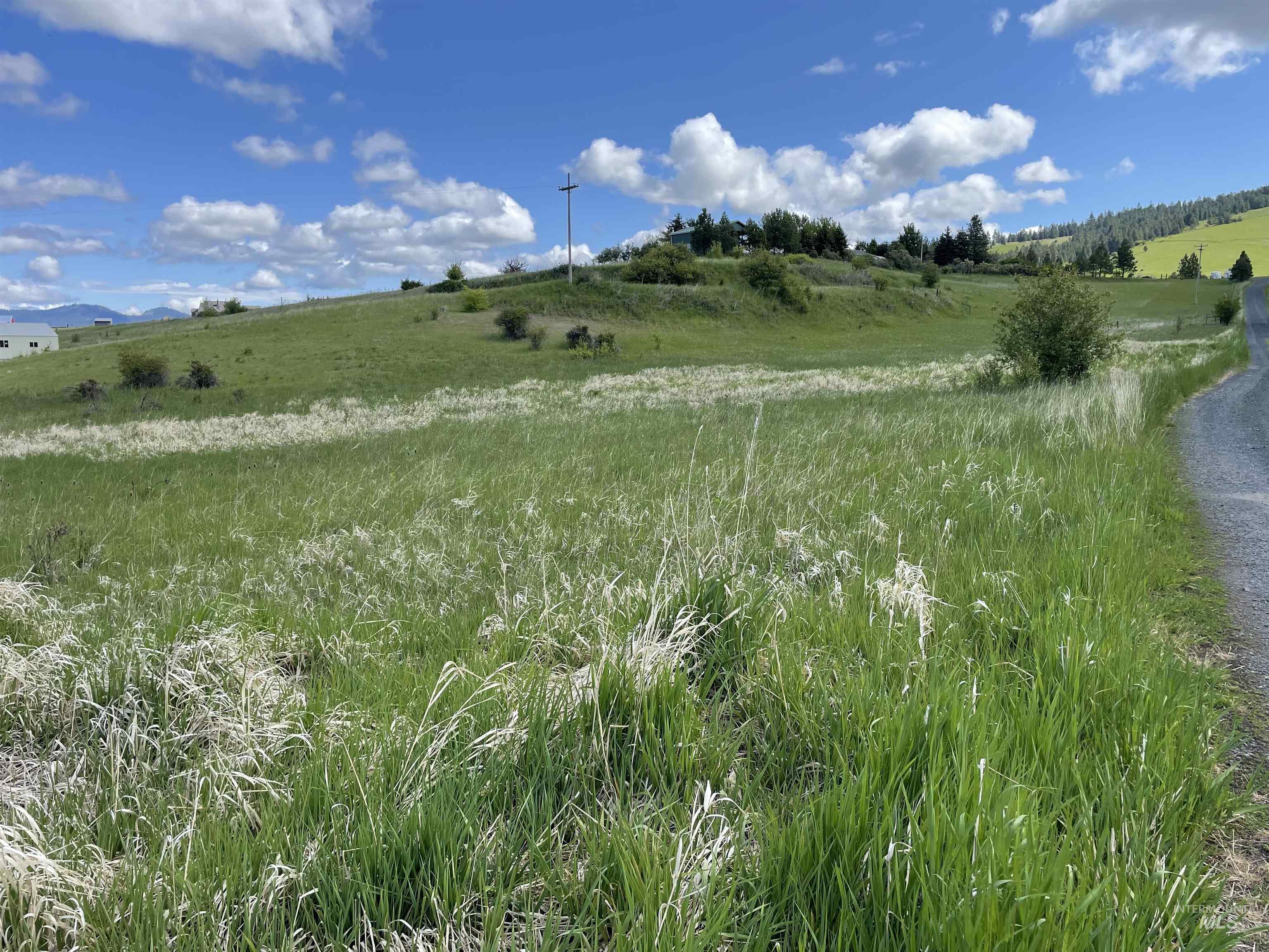 2590 Blaine Road Moscow, ID 83843 - Photo 17 of 37 Gallery Image 17