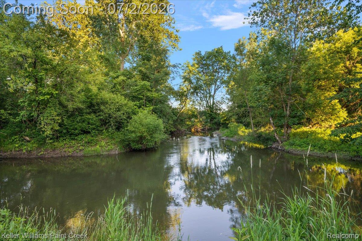 54230 Card Road Macomb, MI 48042 - Photo 15 of 73 Natural water feature with surrounding mature trees and lush vegetation