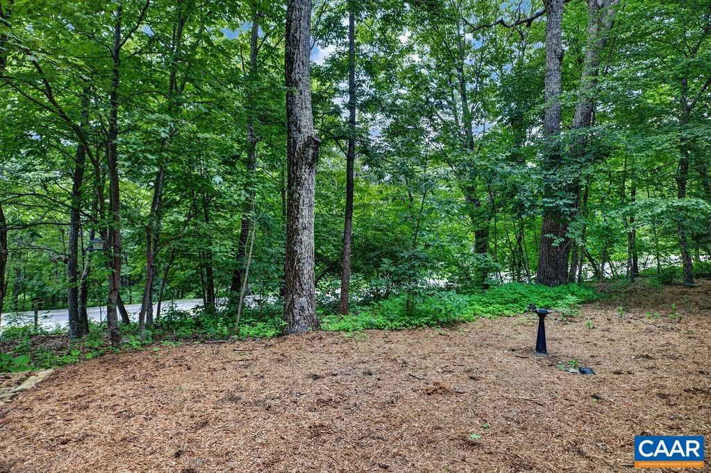 2246 Tanners Ridge Roseland, VA 22967 - Photo 17 of 18