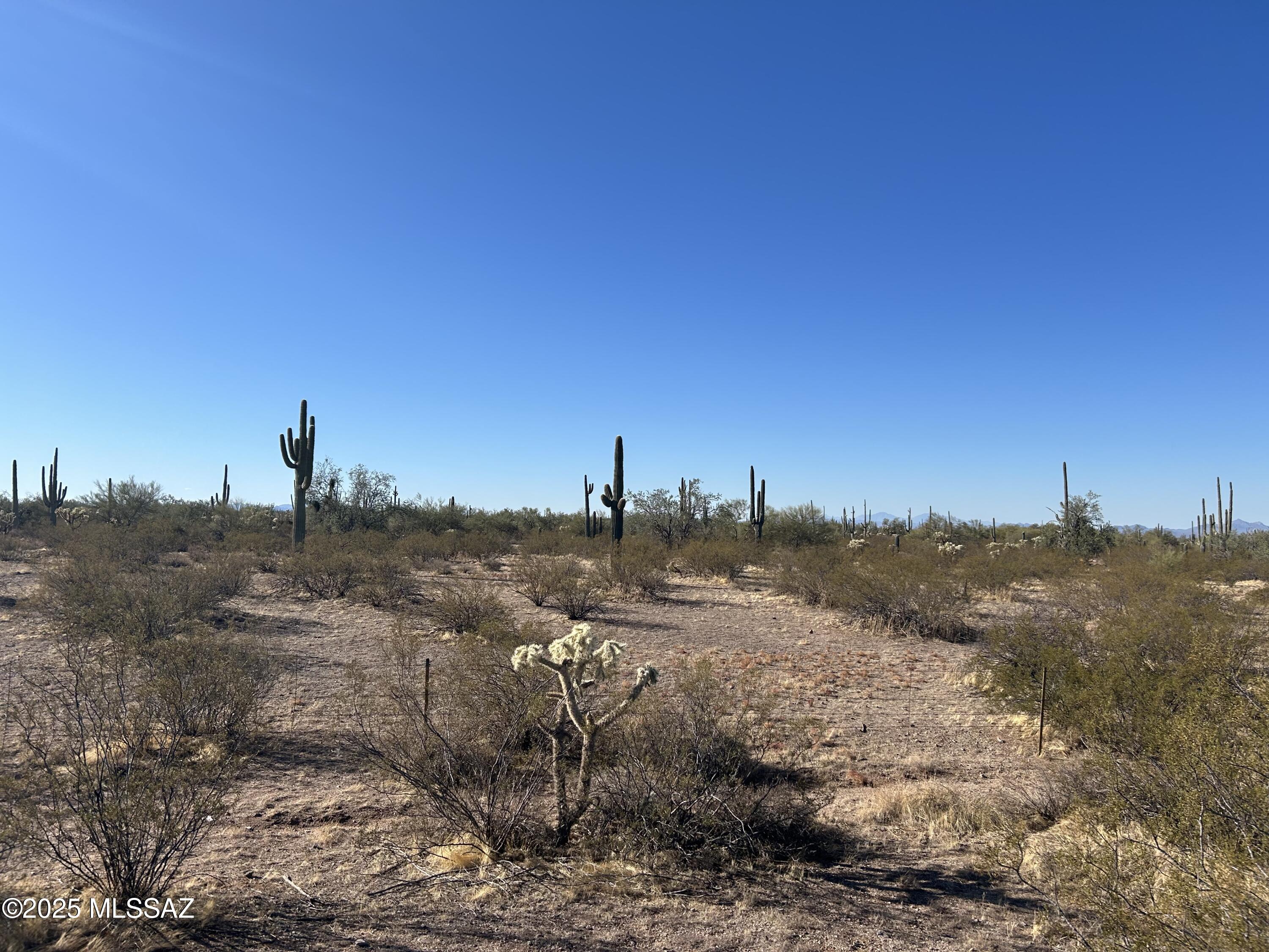 X South Cattle Tank Road Marana, AZ 85658 - Photo 6 of 8