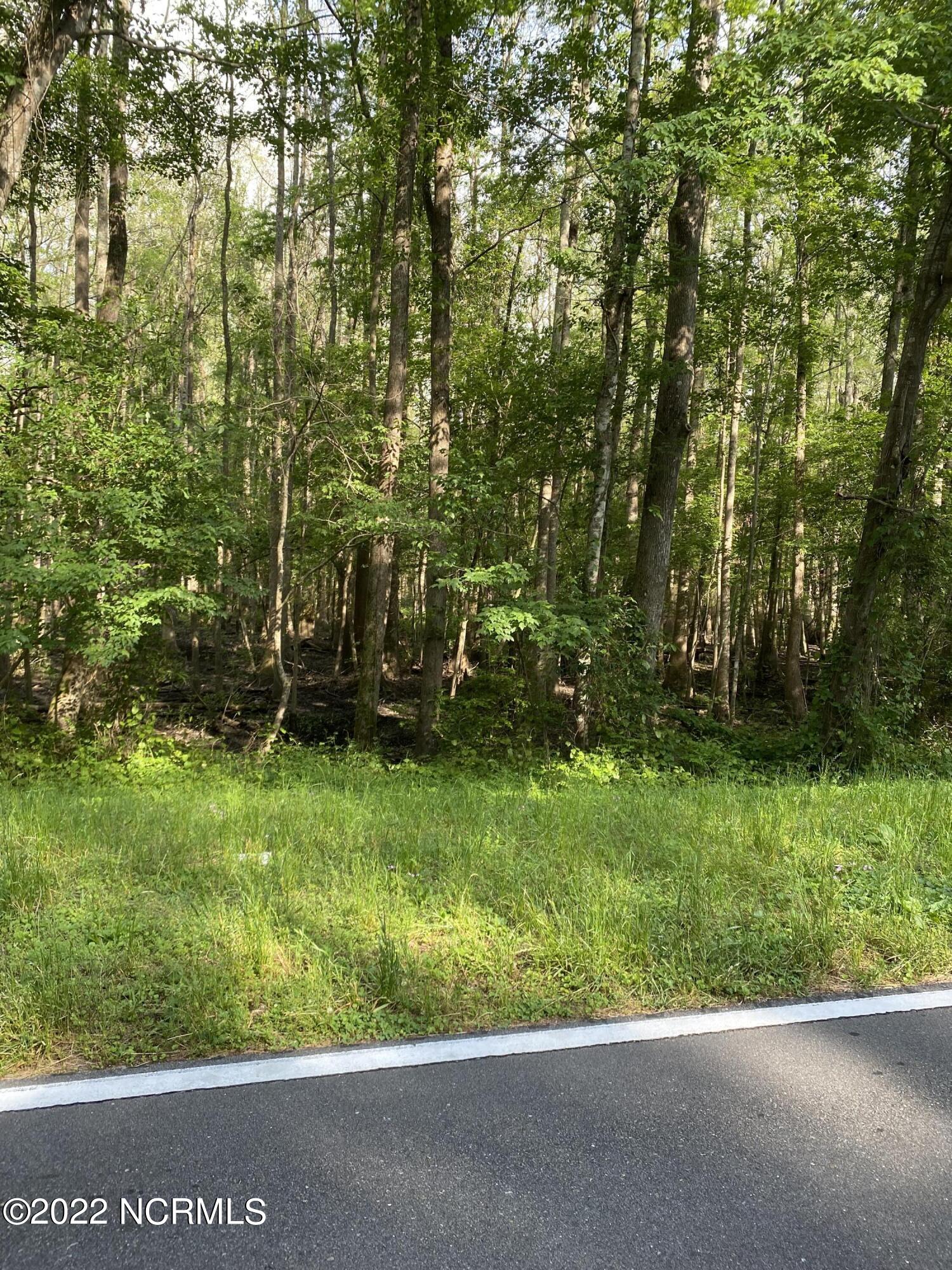 2 Homer Nance Road Evergreen, NC 28438 - Photo 10 of 17 IMG_7901