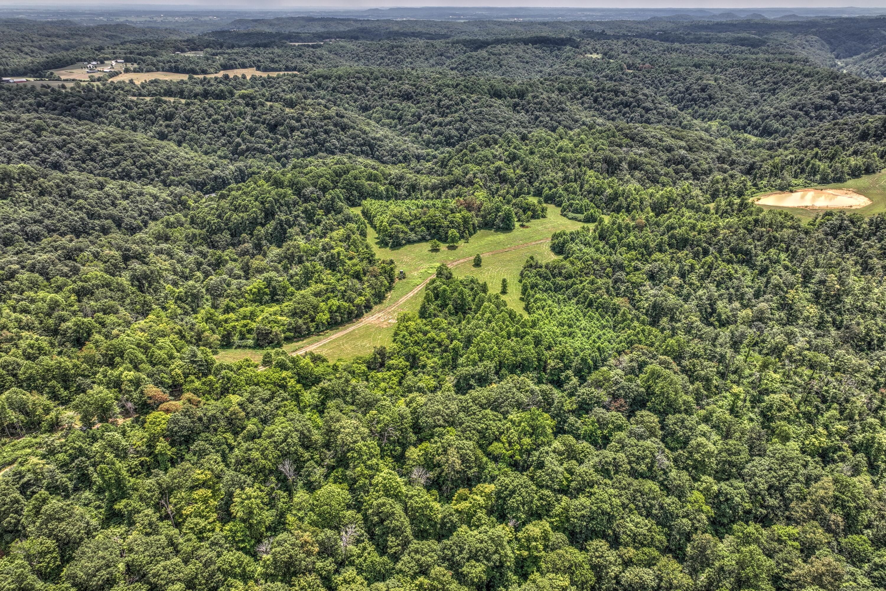 0 Tennessee Ridge Road Parksville, KY 40464 - Photo 1 of 3 Tenn Ridge 1
