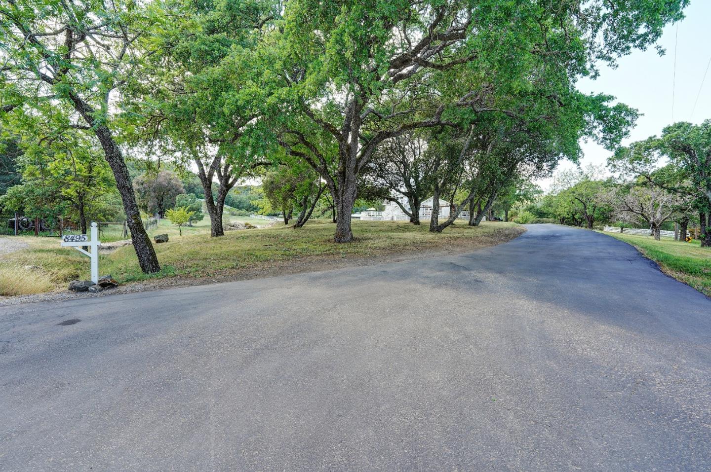 8495 Pharmer Road Gilroy, CA 95020 - Photo 2 of 70 a view of a road with trees in the background