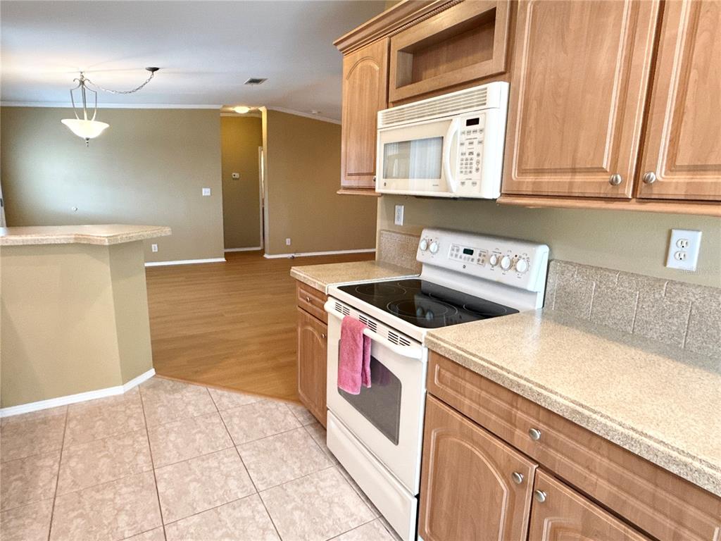 6817 Mt Pleasant Road Northeast, Unit 49 St. Petersburg, FL 33702 - Photo 9 of 30 a kitchen with a stove and a sink