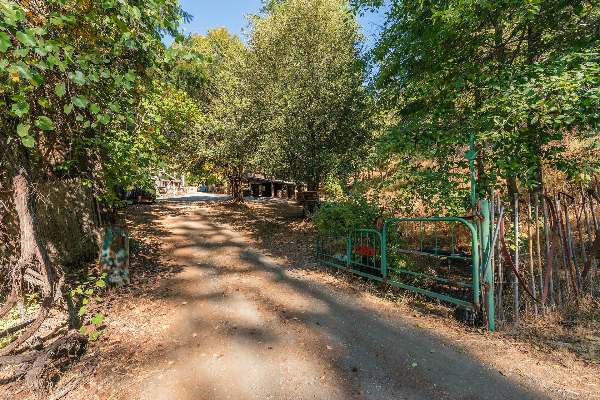 751 Mule Gulch Road Lewiston, CA 96052 - Photo 23 of 51 DSC_4803