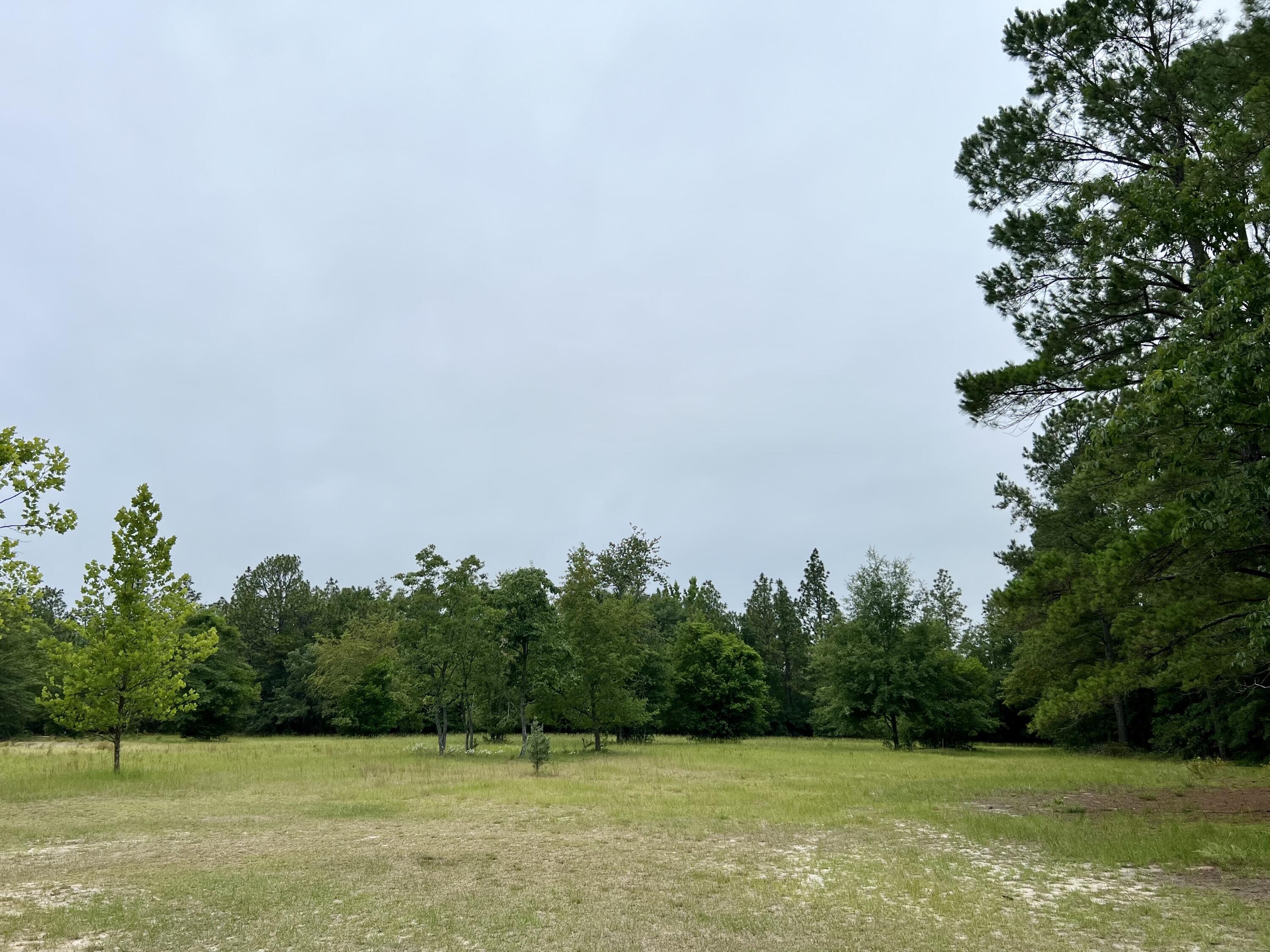 672 Redds Branch Road Aiken, SC 29801 - Photo 38 of 52