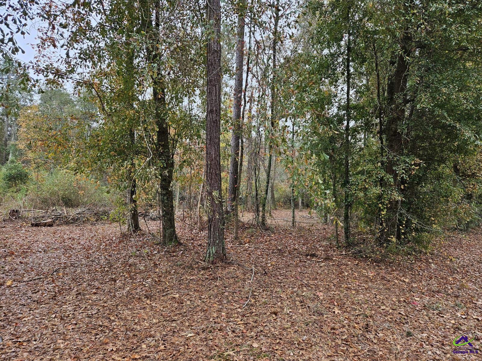 0 Willow Lake Road Fort Valley, GA 31030 - Photo 7 of 9