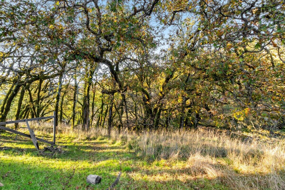 2900 Flat Rock Road Garberville, CA 95542 - Photo 54 of 61 56-DSC00188-HDR_1
