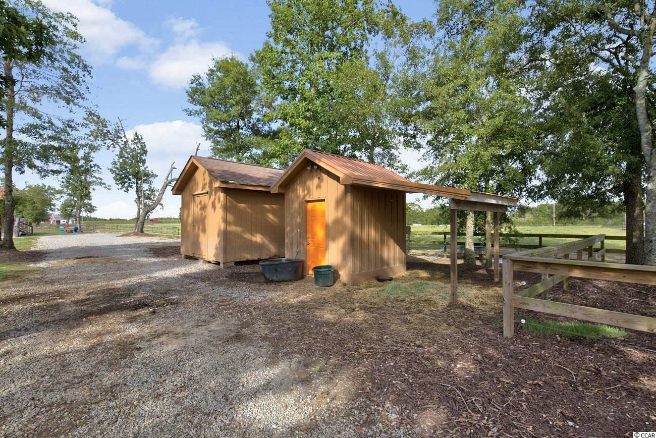 370 Calico Road Loris, SC 29569 - Photo 12 of 37 Gallery Image 12