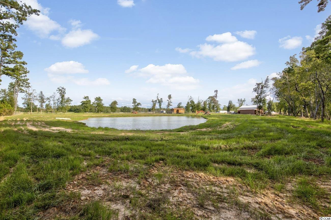 370 Calico Road Loris, SC 29569 - Photo 21 of 37 Gallery Image 21
