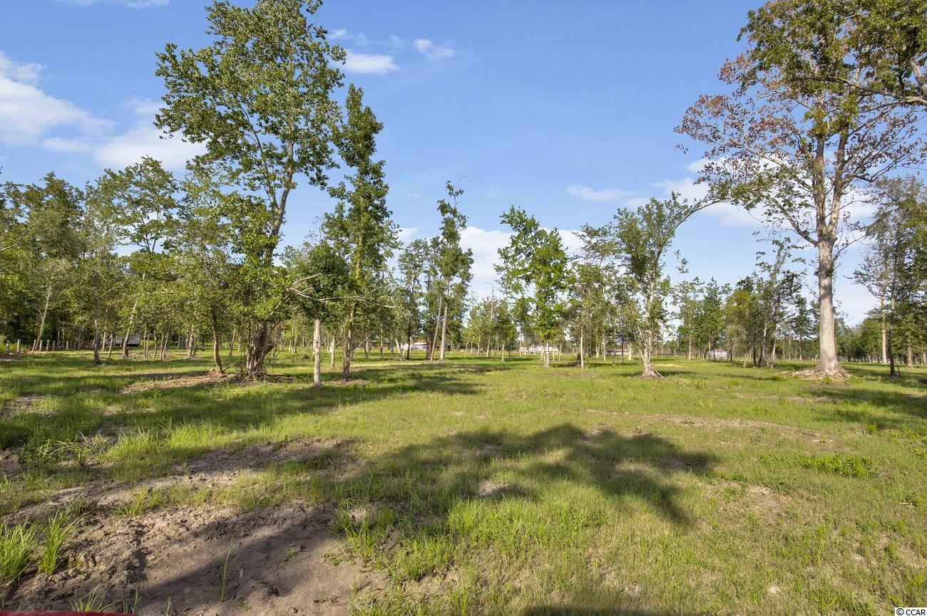 370 Calico Road Loris, SC 29569 - Photo 23 of 37 Gallery Image 23