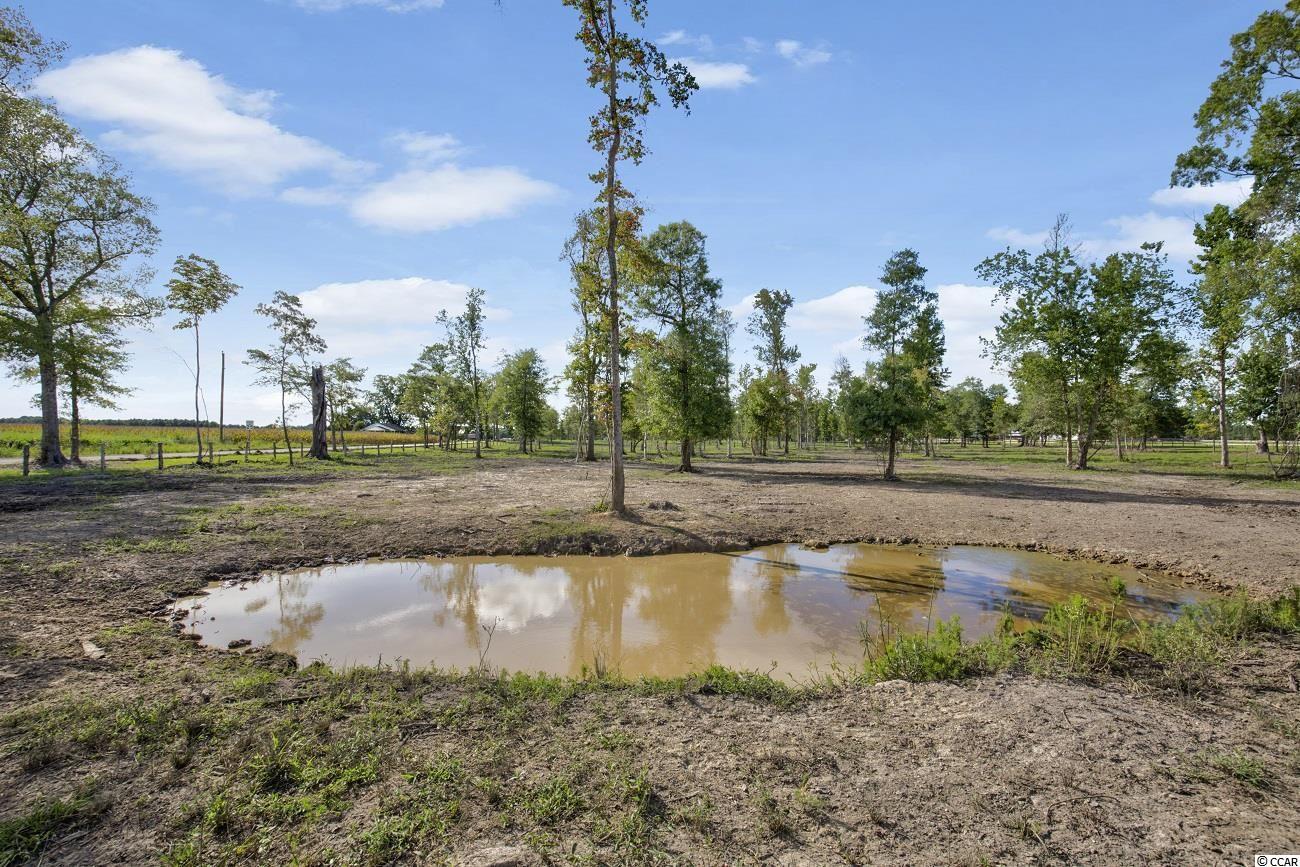 370 Calico Road Loris, SC 29569 - Photo 25 of 37 Gallery Image 25