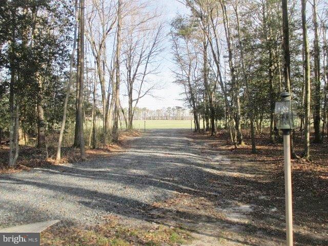 13800 Johnson Road Laurel, DE 19956 - Photo 23 of 24 Gallery Image 23